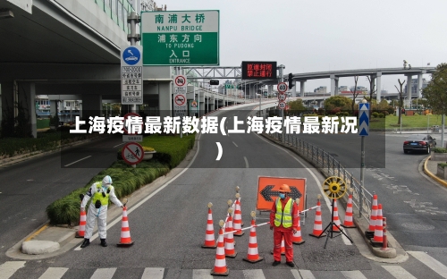 上海疫情最新数据(上海疫情最新况)-第2张图片