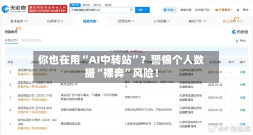 你也在用“AI中转站	”？警惕个人数据“裸奔”风险！-第3张图片
