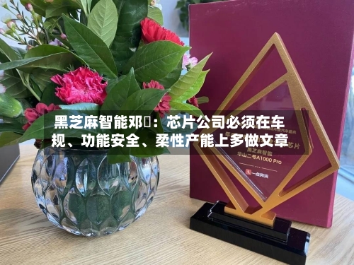 黑芝麻智能邓堃：芯片公司必须在车规、功能安全、柔性产能上多做文章-第2张图片