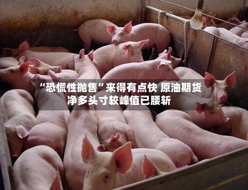 “恐慌性抛售	”来得有点快 原油期货净多头寸较峰值已腰斩-第2张图片