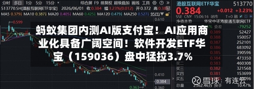 蚂蚁集团内测AI版支付宝！AI应用商业化具备广阔空间！软件开发ETF华宝（159036）盘中猛拉3.7%-第3张图片