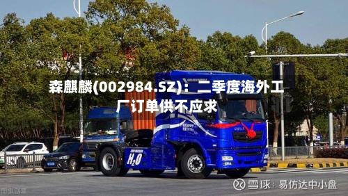森麒麟(002984.SZ):二季度海外工厂订单供不应求